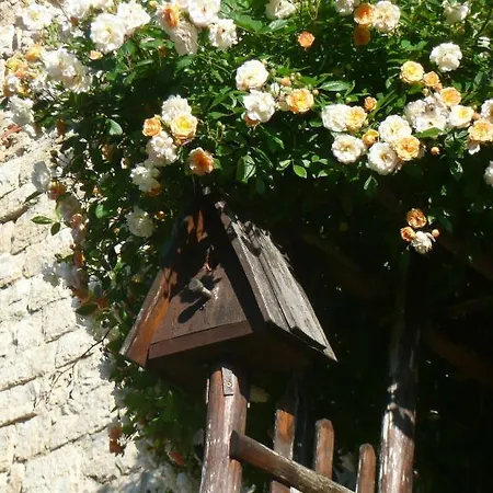 Couette-café La Caminade 4*